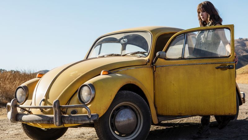 bumblebee-photos002-1543348083579_1280w